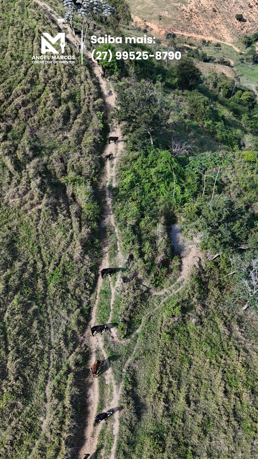 Imagem 13 da propriedade