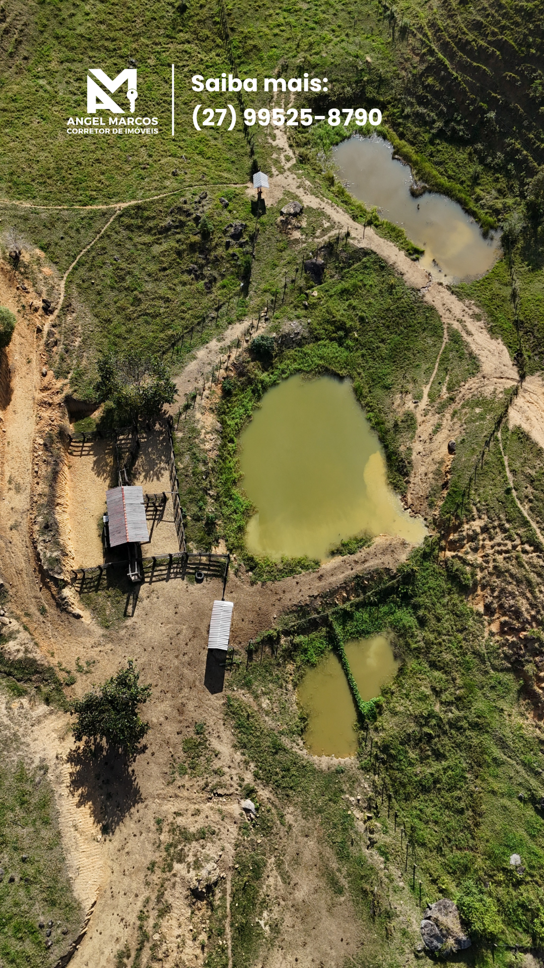 Imagem 16 da propriedade