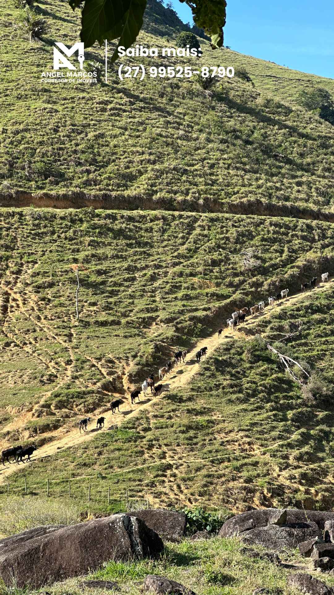 Imagem 17 da propriedade