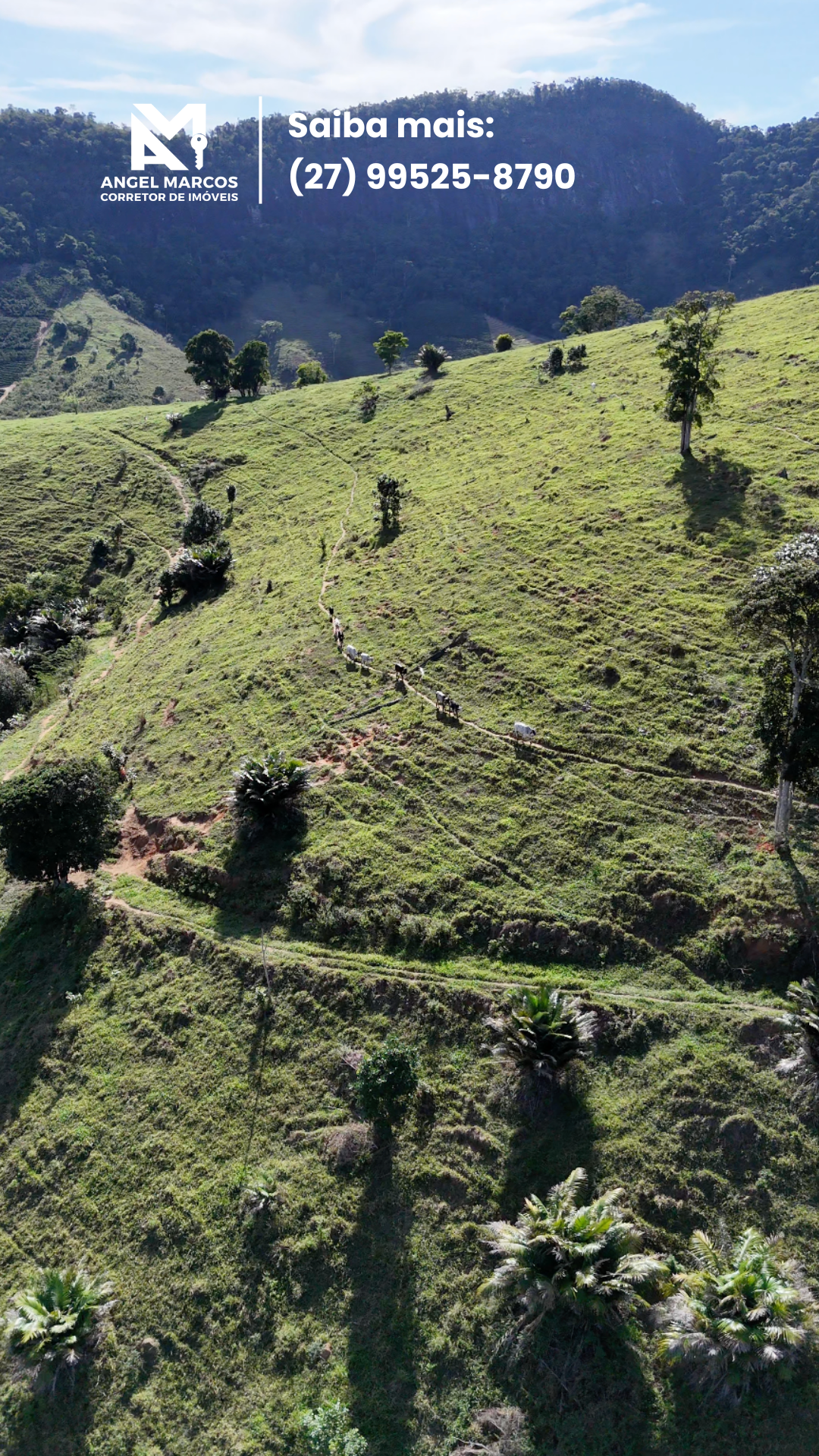 Imagem 3 da propriedade