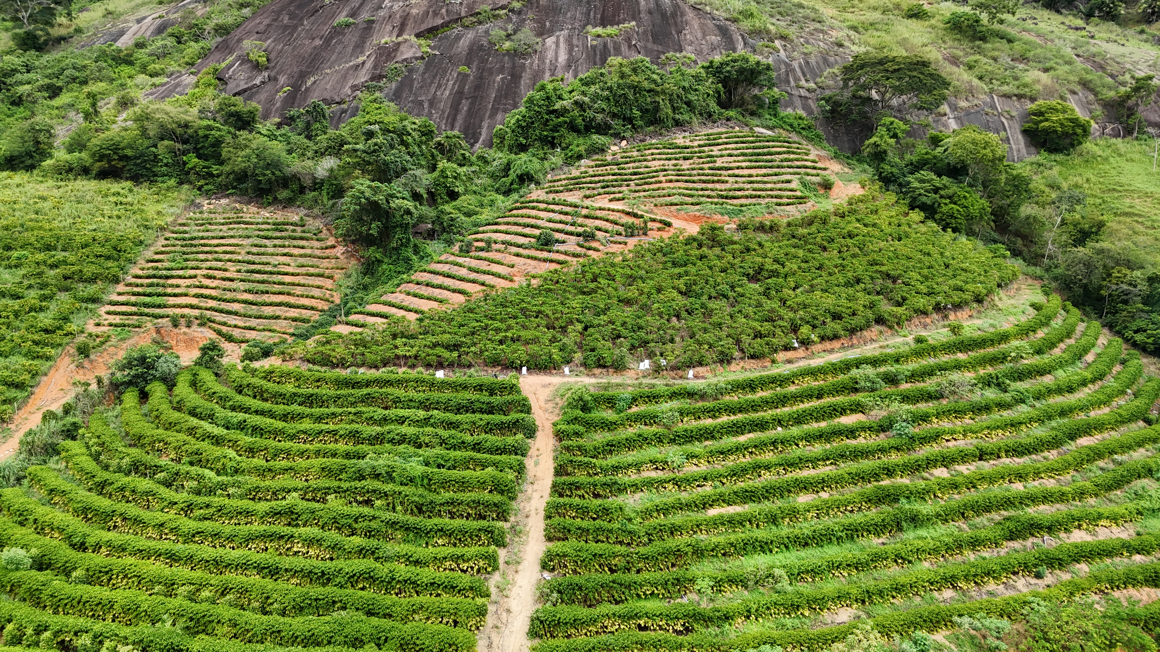 Imagem 2 da propriedade