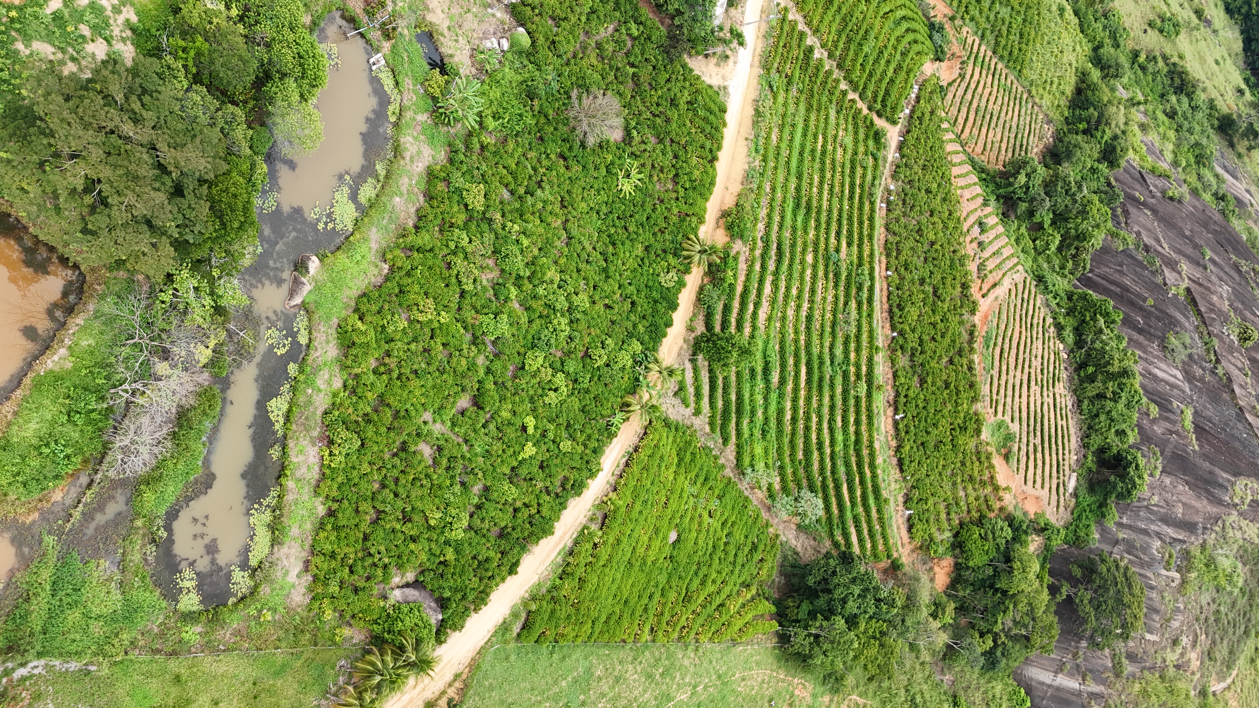 Imagem 6 da propriedade