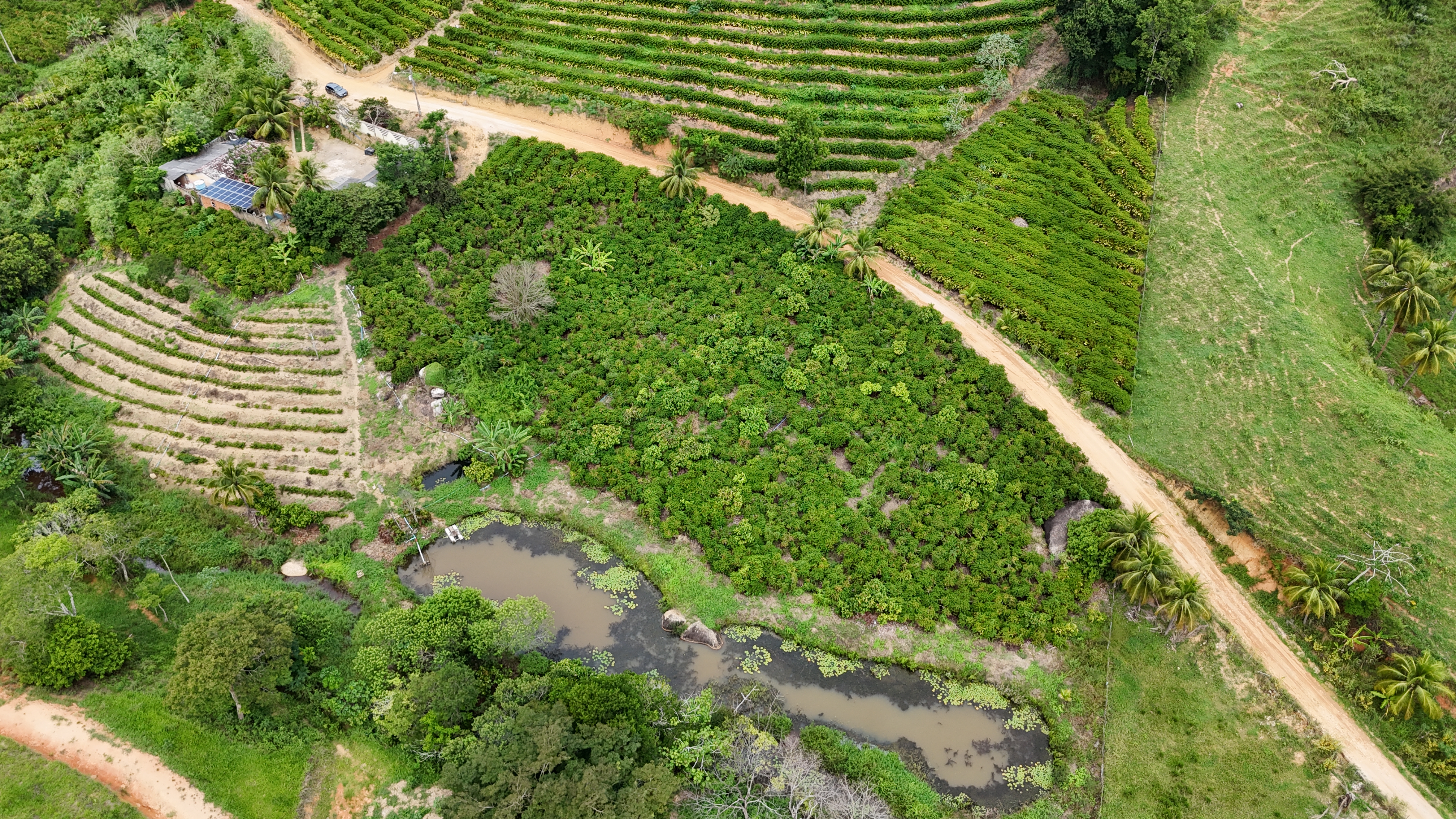 Imagem 8 da propriedade