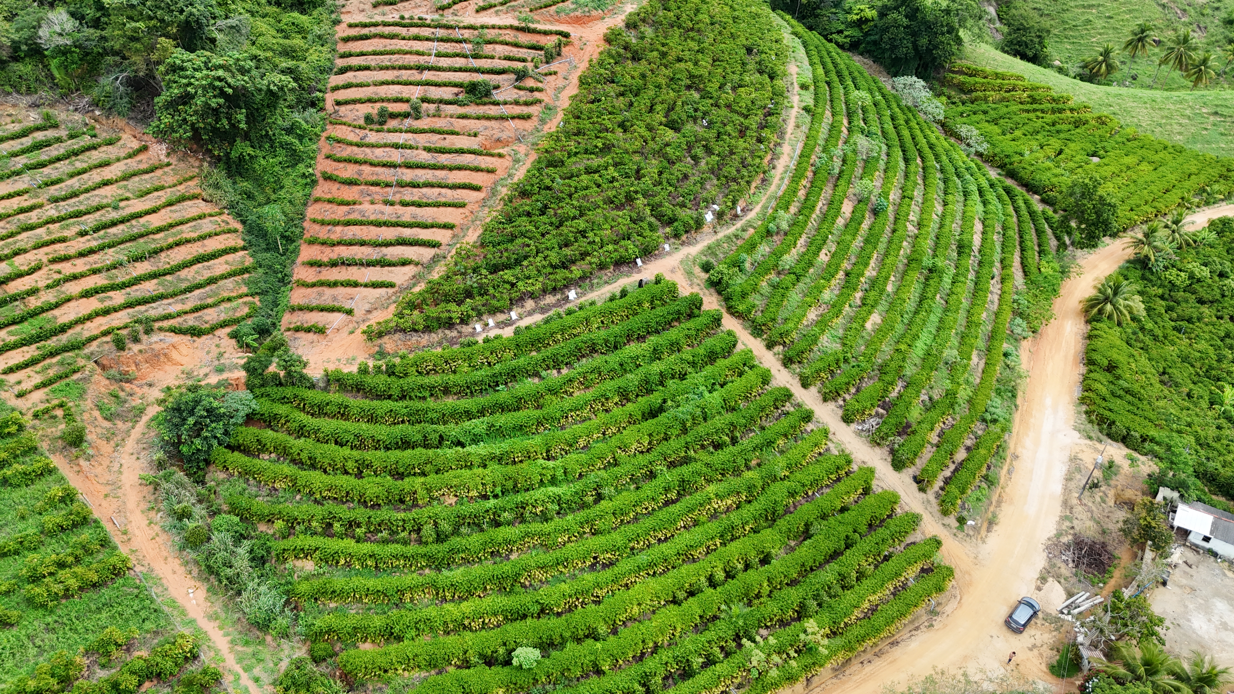 Imagem 9 da propriedade