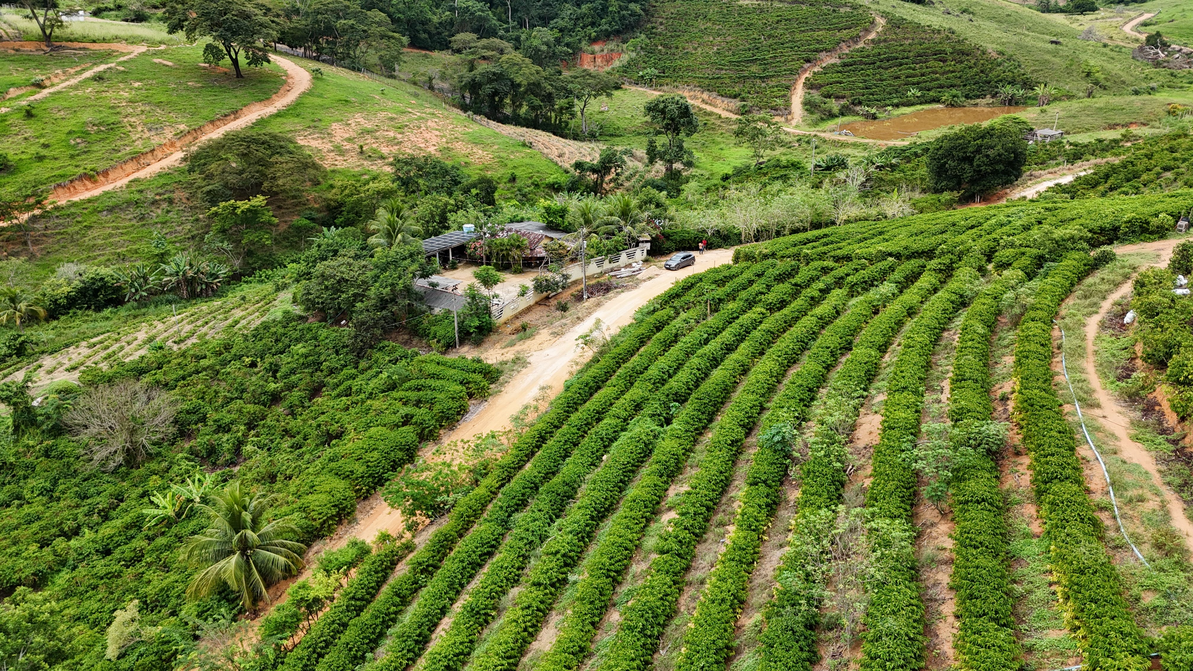 Imagem 13 da propriedade