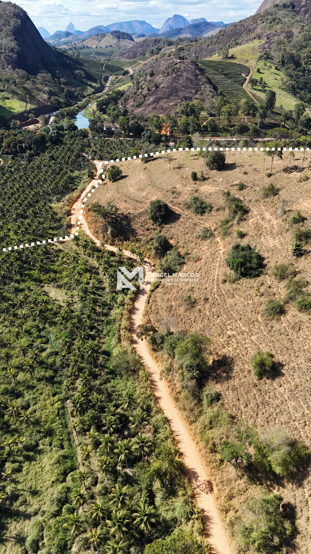 Imagem 2 da propriedade