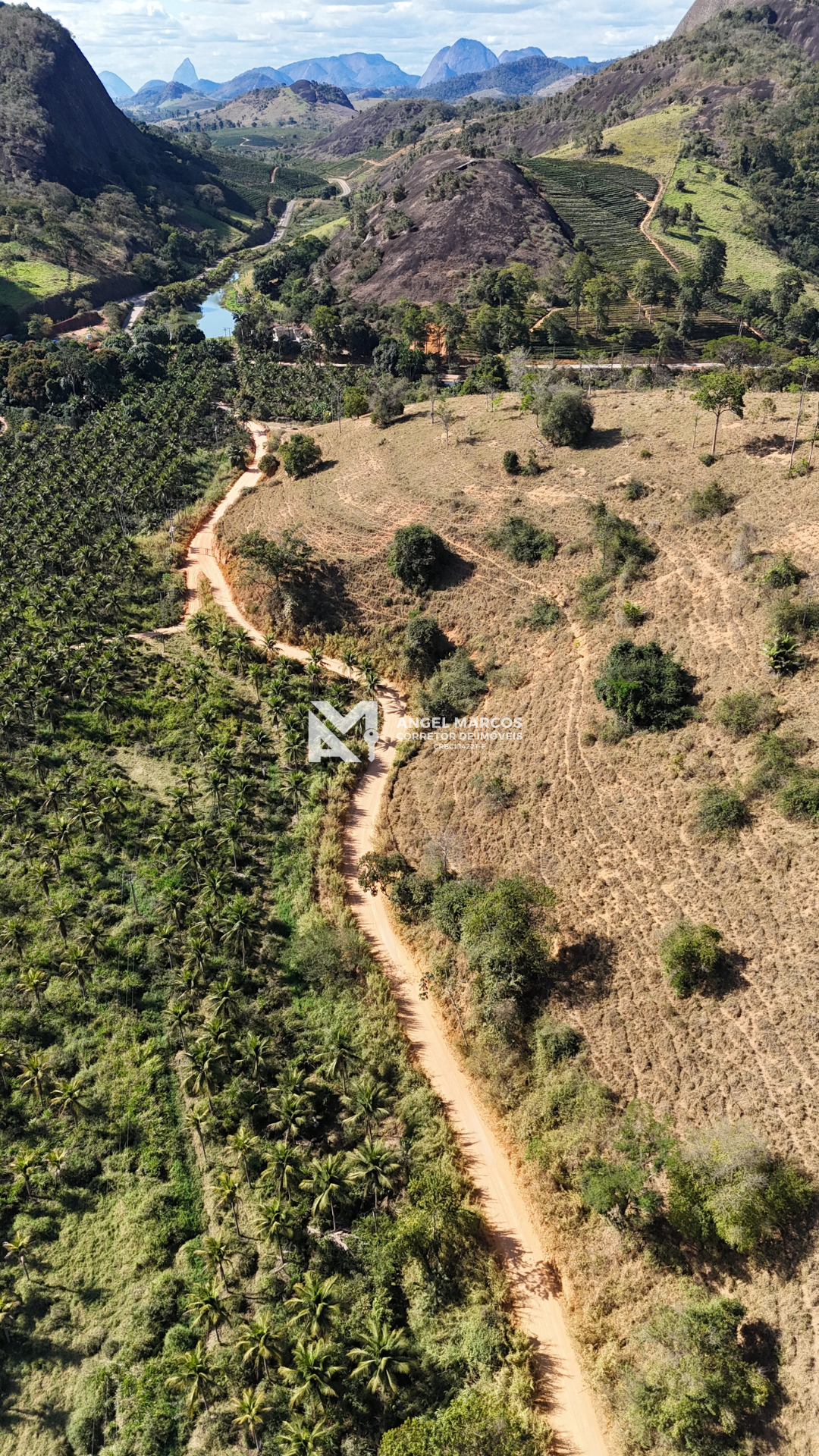 Imagem 4 da propriedade