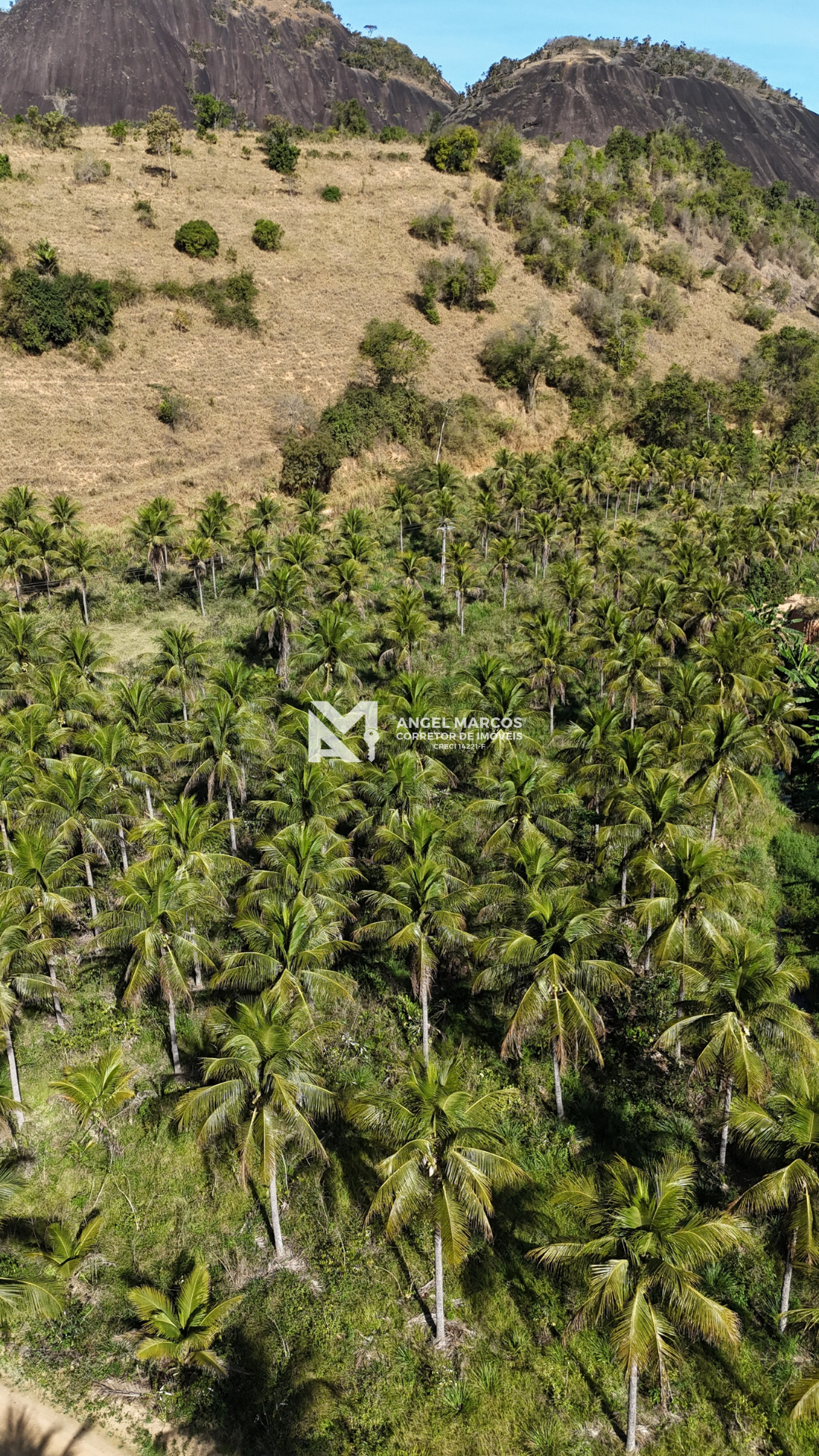 Imagem 10 da propriedade