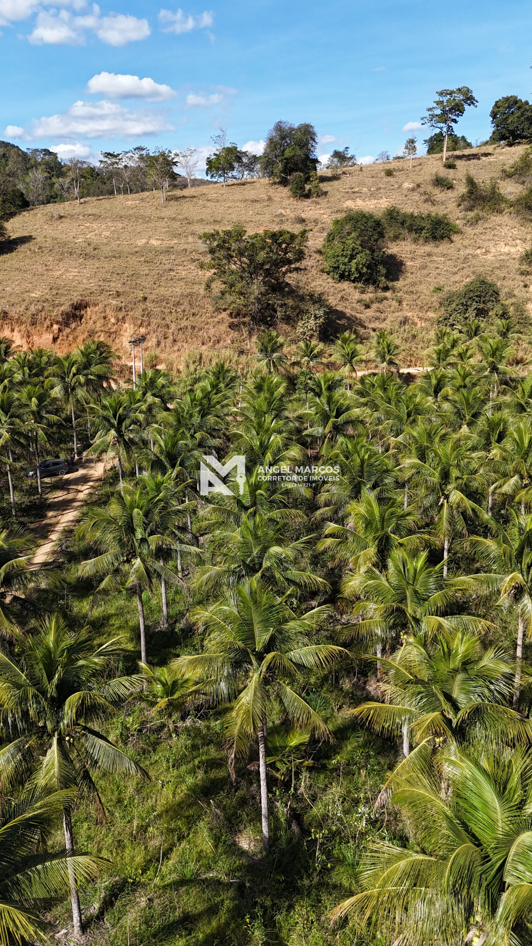 Imagem 11 da propriedade