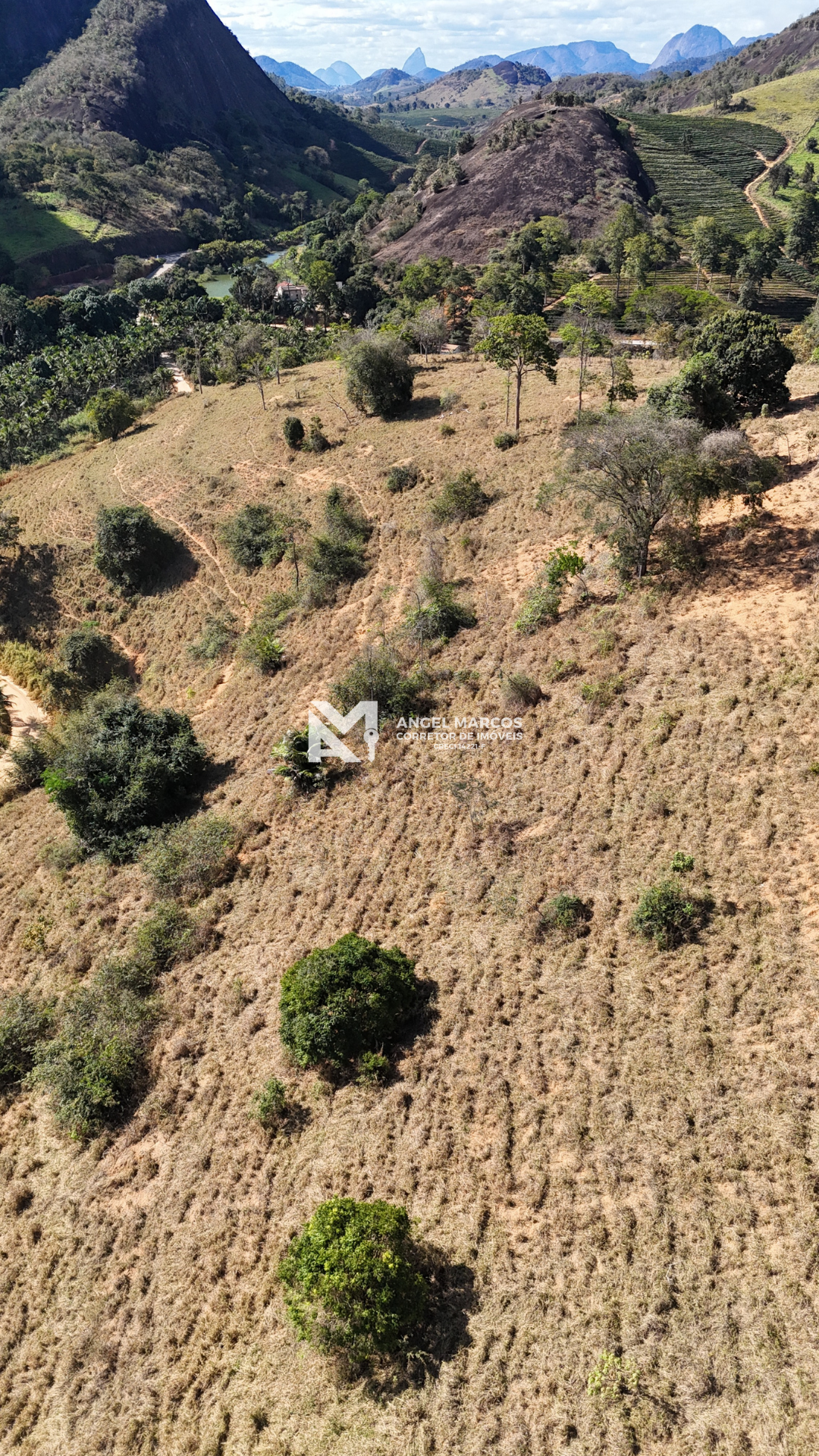 Imagem 13 da propriedade