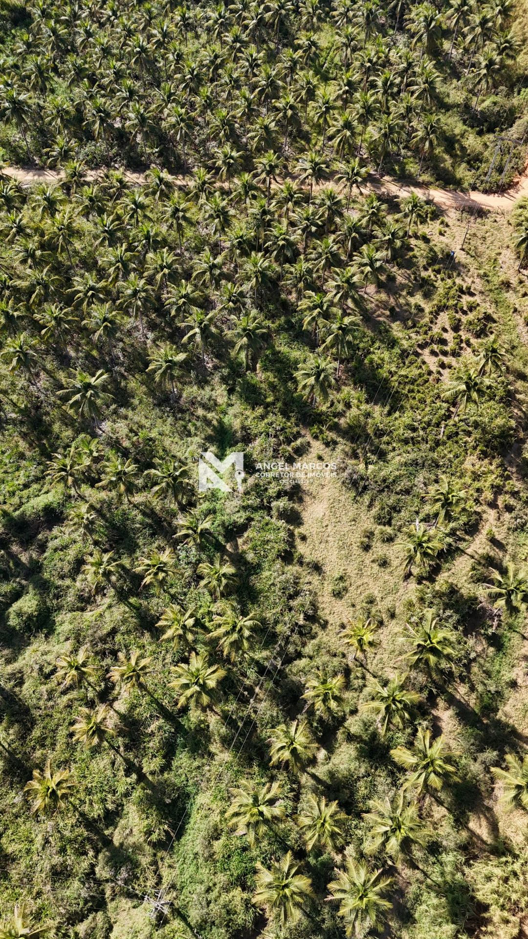 Imagem 16 da propriedade