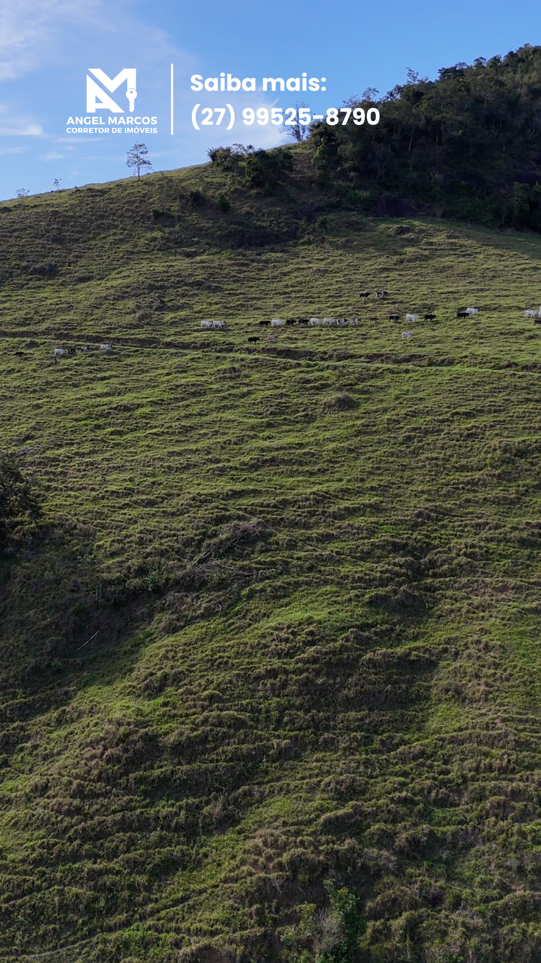 Imagem 5 da propriedade