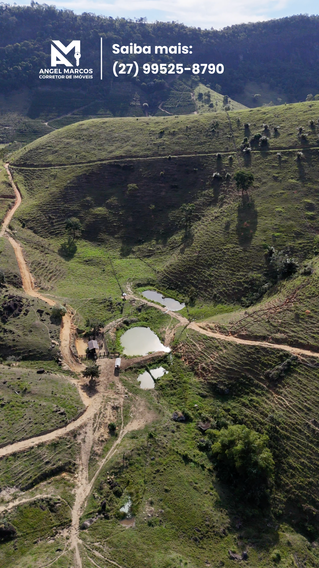 Imagem 7 da propriedade