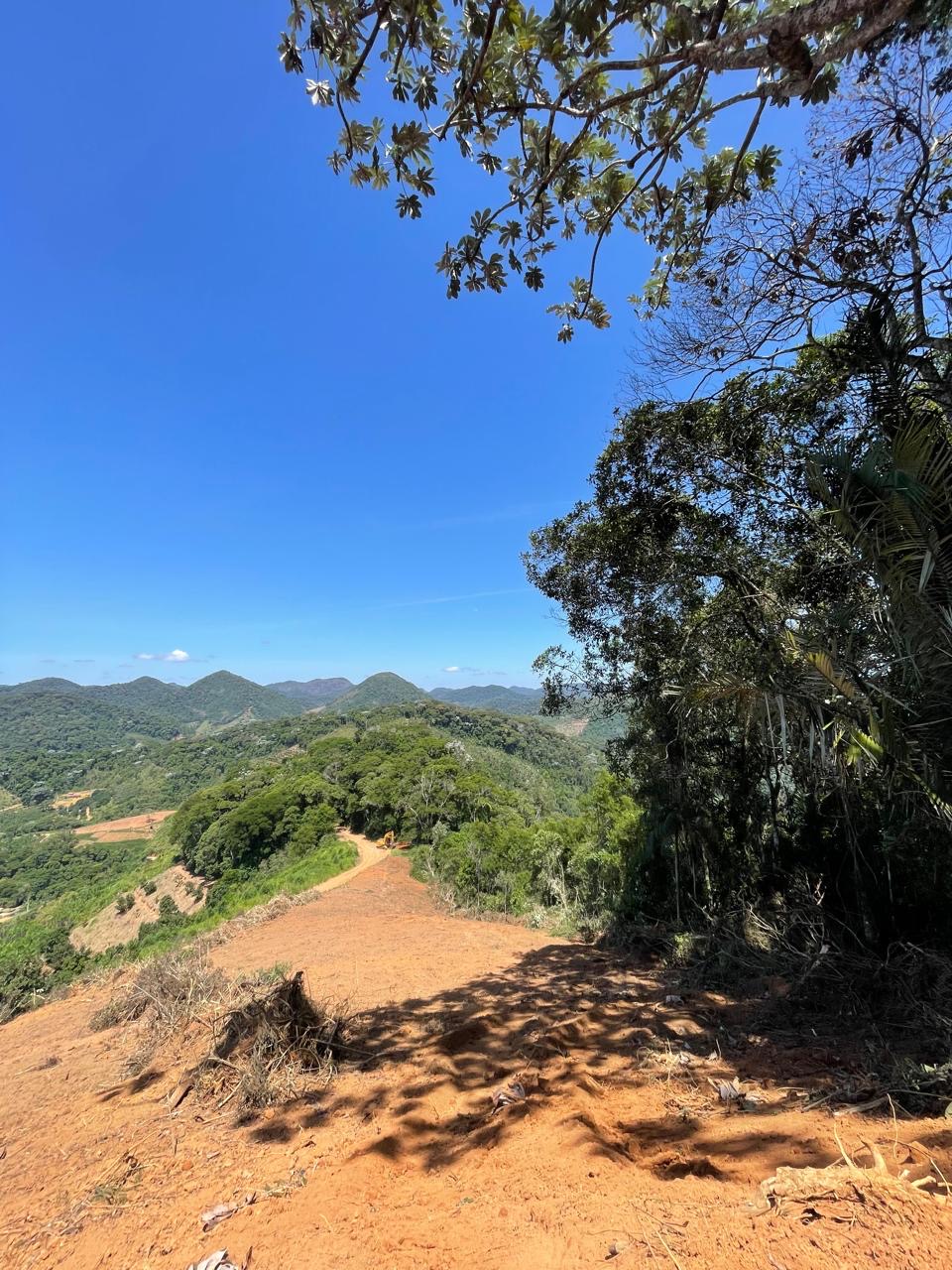 Imagem 2 da propriedade